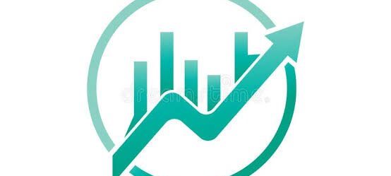 Pefomance Marketing Portfolio